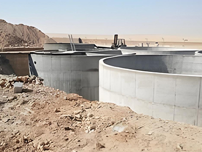 Proyectos realizados
