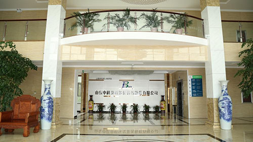 Recepción